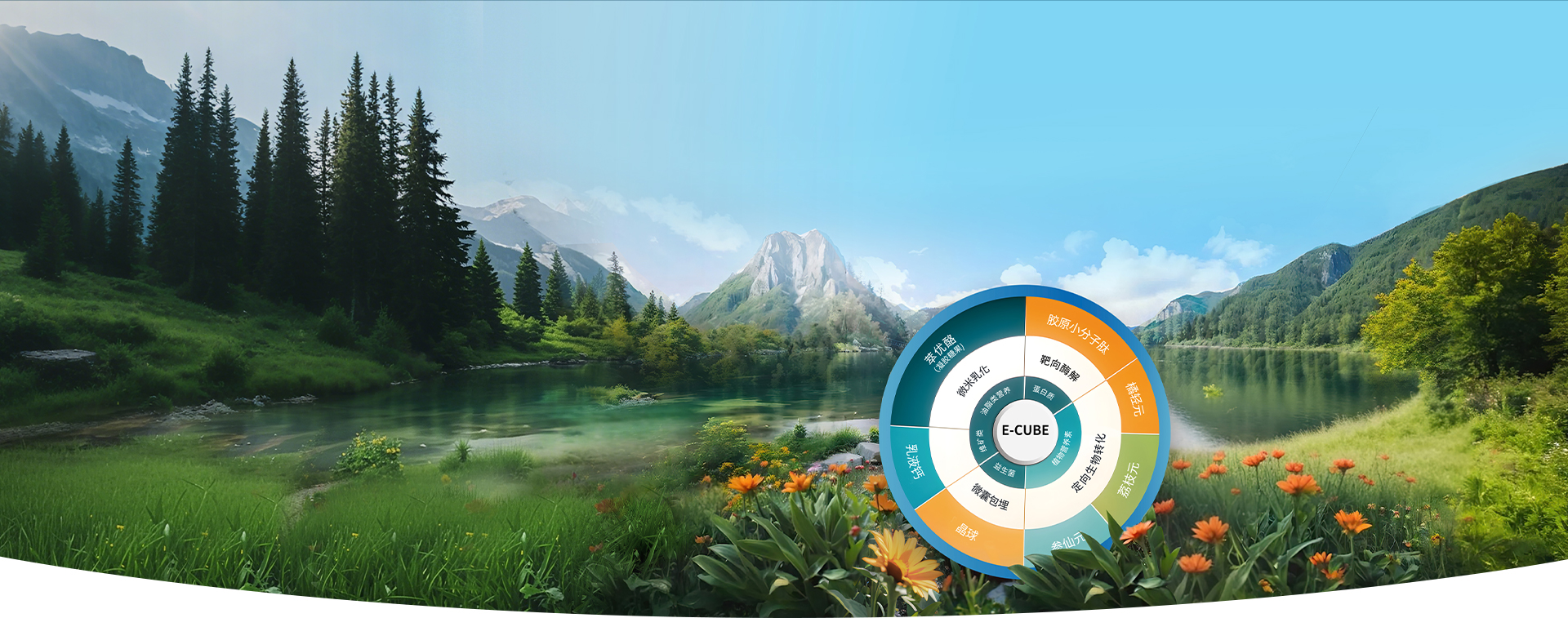 E立方仿生增效技术平台